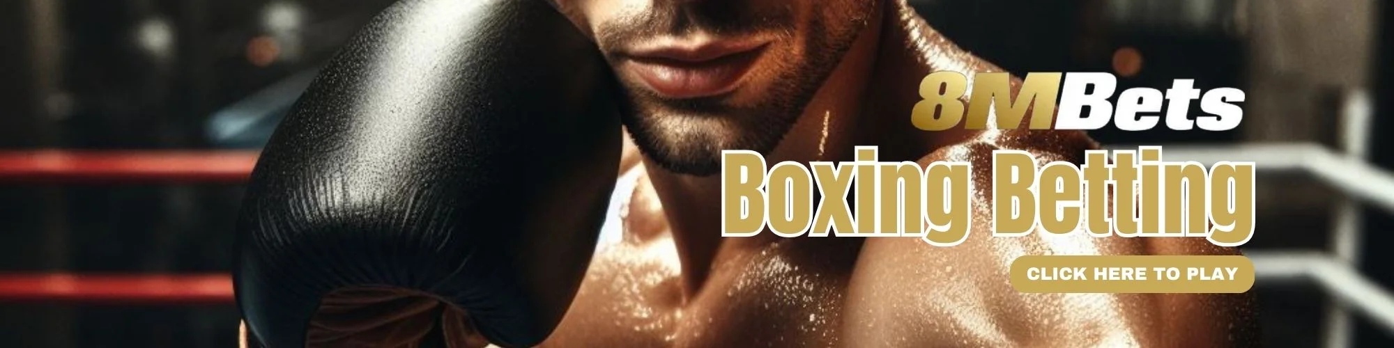 Boxing Betting in 8MBets Bangladesh